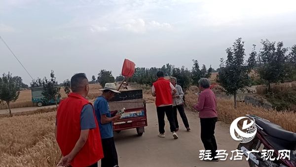 平輿縣廟灣鎮：“三夏”時節飄蕩“志愿紅”